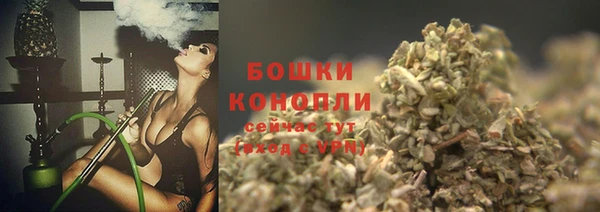 шишки Кодинск