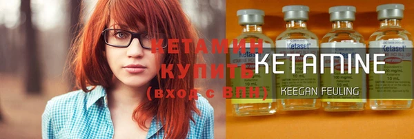 шишки Кодинск