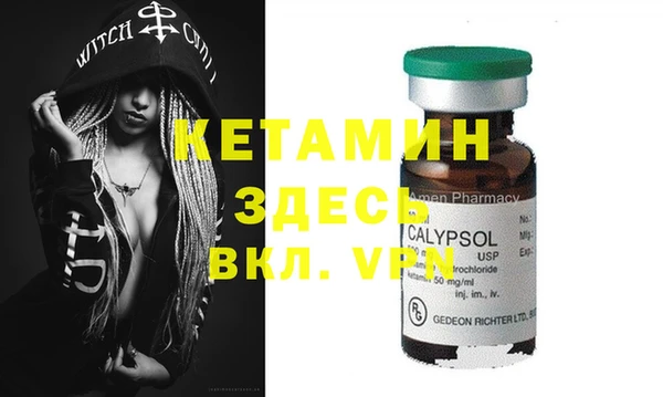 шишки Кодинск