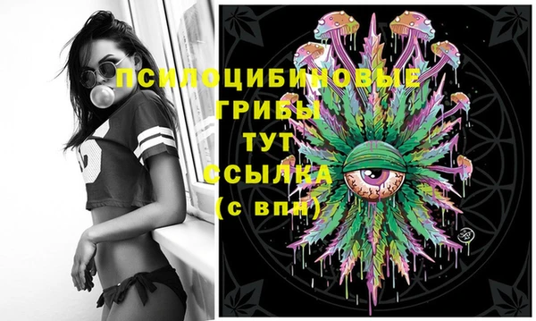 метадон Козельск