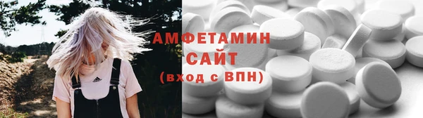 шишки Кодинск