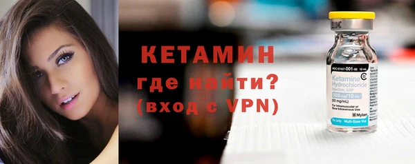 шишки Кодинск