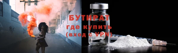 шишки Кодинск