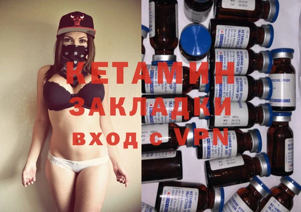 шишки Кодинск