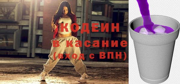 шишки Кодинск