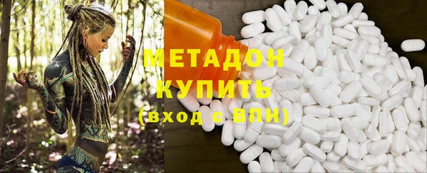 шишки Кодинск