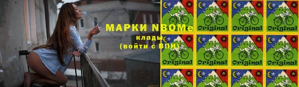 шишки Кодинск