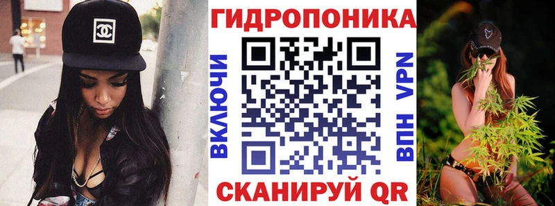 Купить закладки  Арск  Канабис конопля 